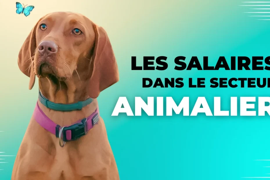 Salaires secteur animalier