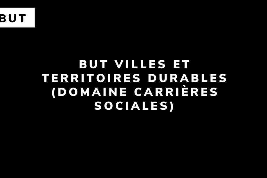 BUT Villes et territoires durables (domaine Carrières Sociales)
