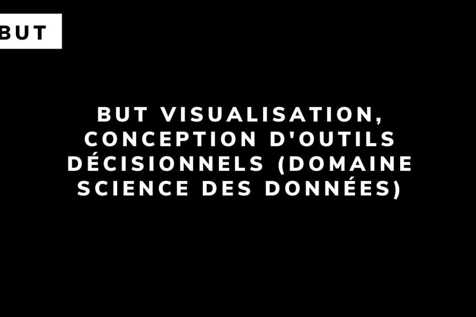BUT visualisation, conception d'outils décisionnels (domaine Science des données)