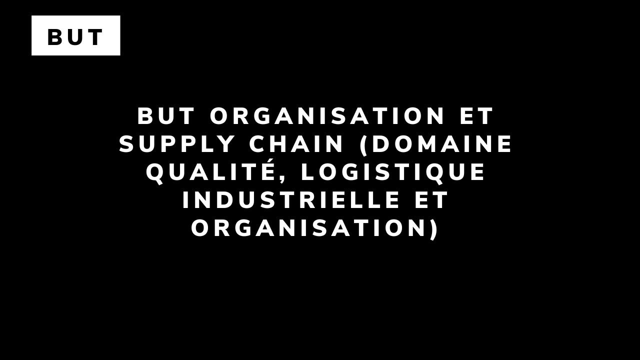 BUT Organisation et supply chain (domaine Qualité, Logistique Industrielle et Organisation)