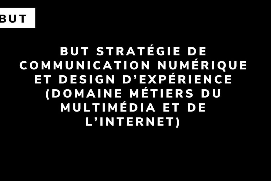 BUT Stratégie de communication numérique et design d’expérience (domaine Métiers du Multimédia et de l’Internet)