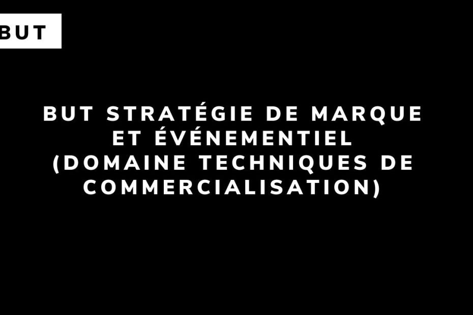 BUT Stratégie de marque et événementiel (domaine Techniques de commercialisation)