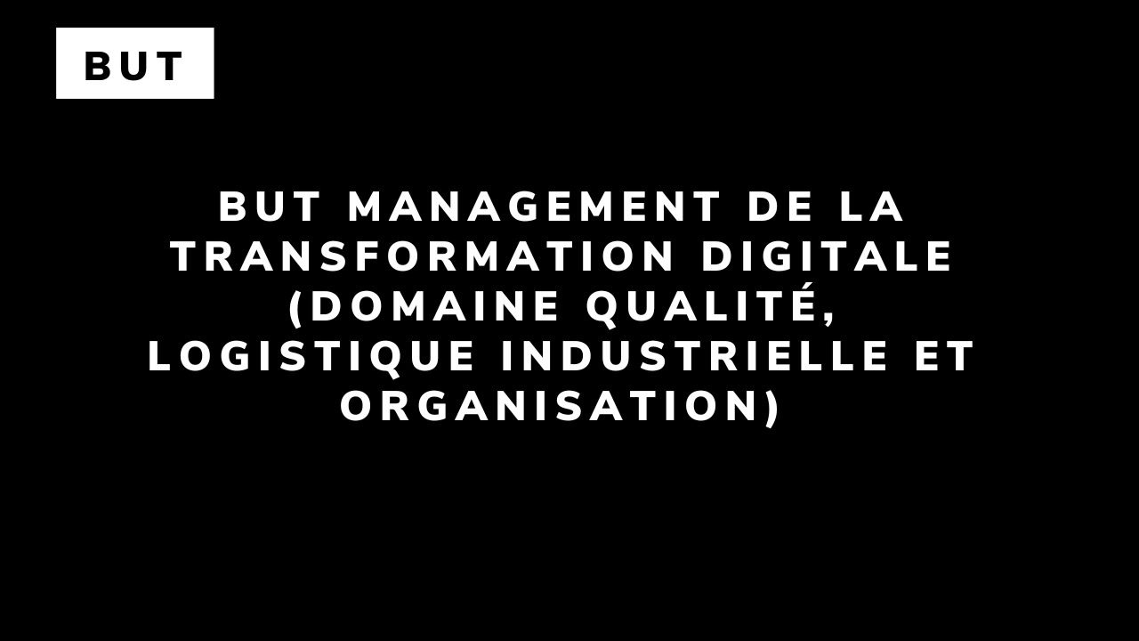 BUT Management de la transformation digitale (domaine Qualité, Logistique Industrielle et Organisation)