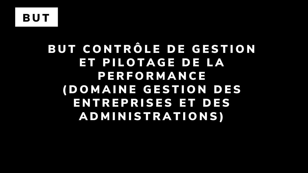 BUT contrôle de gestion et pilotage de la performance (domaine Gestion des entreprises et des administrations)