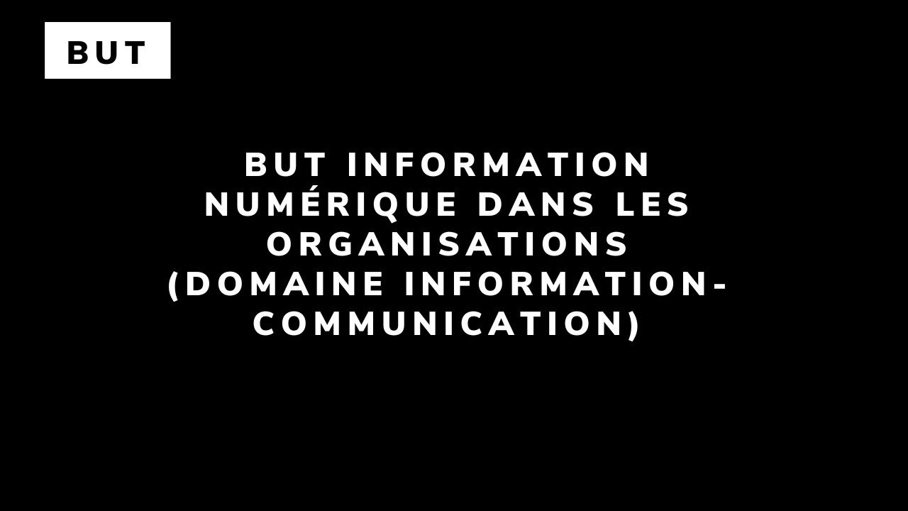 BUT Information numérique dans les organisations  (domaine Information-Communication)