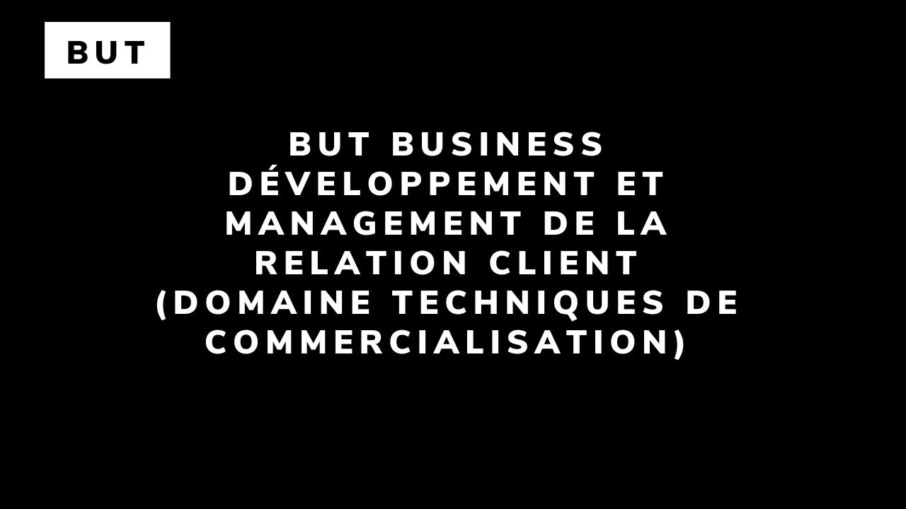 BUT Business développement et management de la relation client (domaine Techniques de commercialisation)