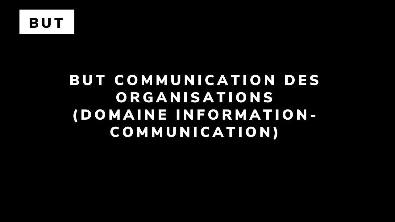 BUT Communication des organisations (domaine Information-Communication)