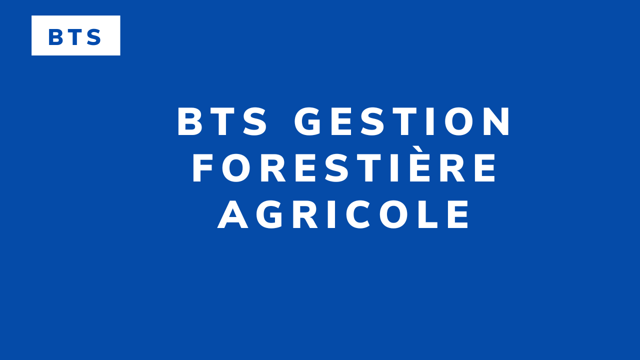 BTS Gestion Forestière agricole
